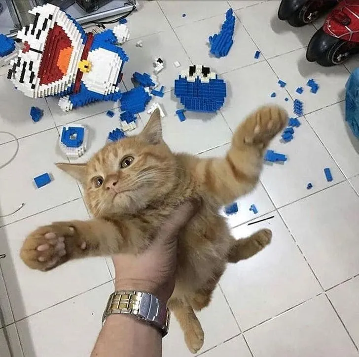 «Пап, я не сделал ничего плохого».