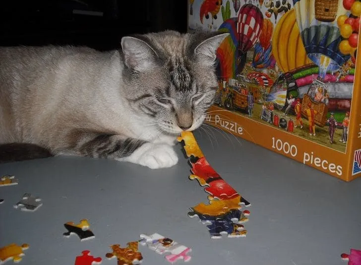 «После того, как она сделала это, мы искали ее целый день».