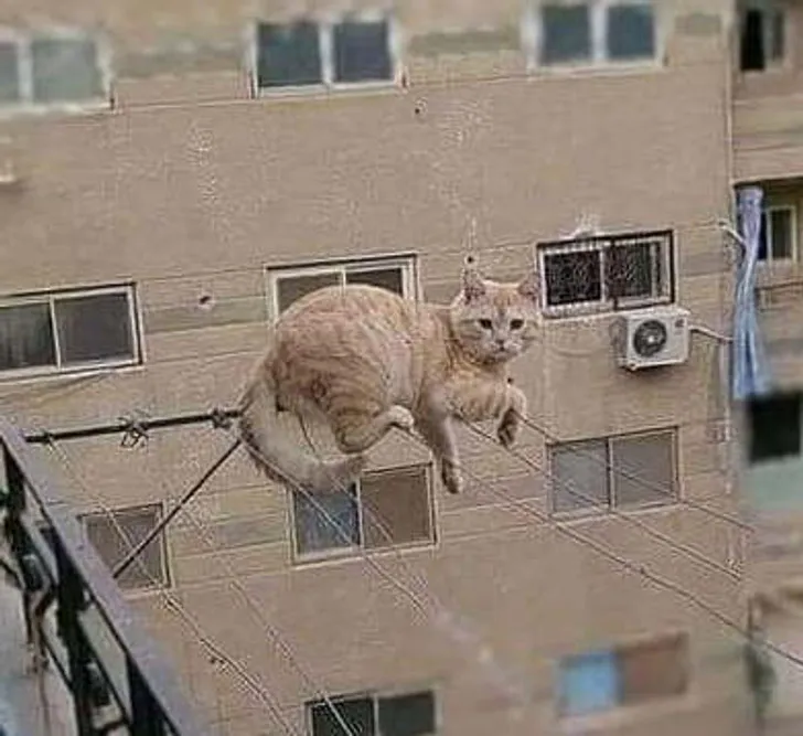 «Мне не грозит опасность. Я сам опасность!»