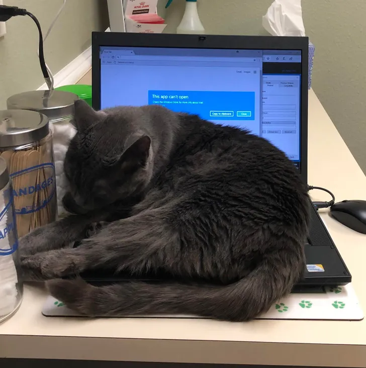 Это доктор Грей, он любит максимально усложнять мою работу».