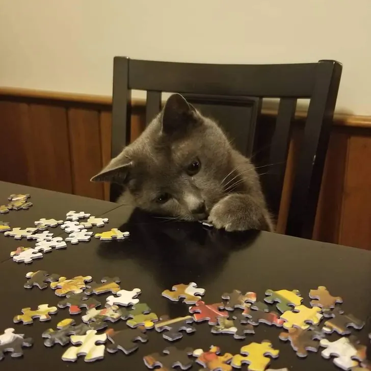 «Кажется, я понял, почему в нашей последнем паззле не хватало кусочка...»