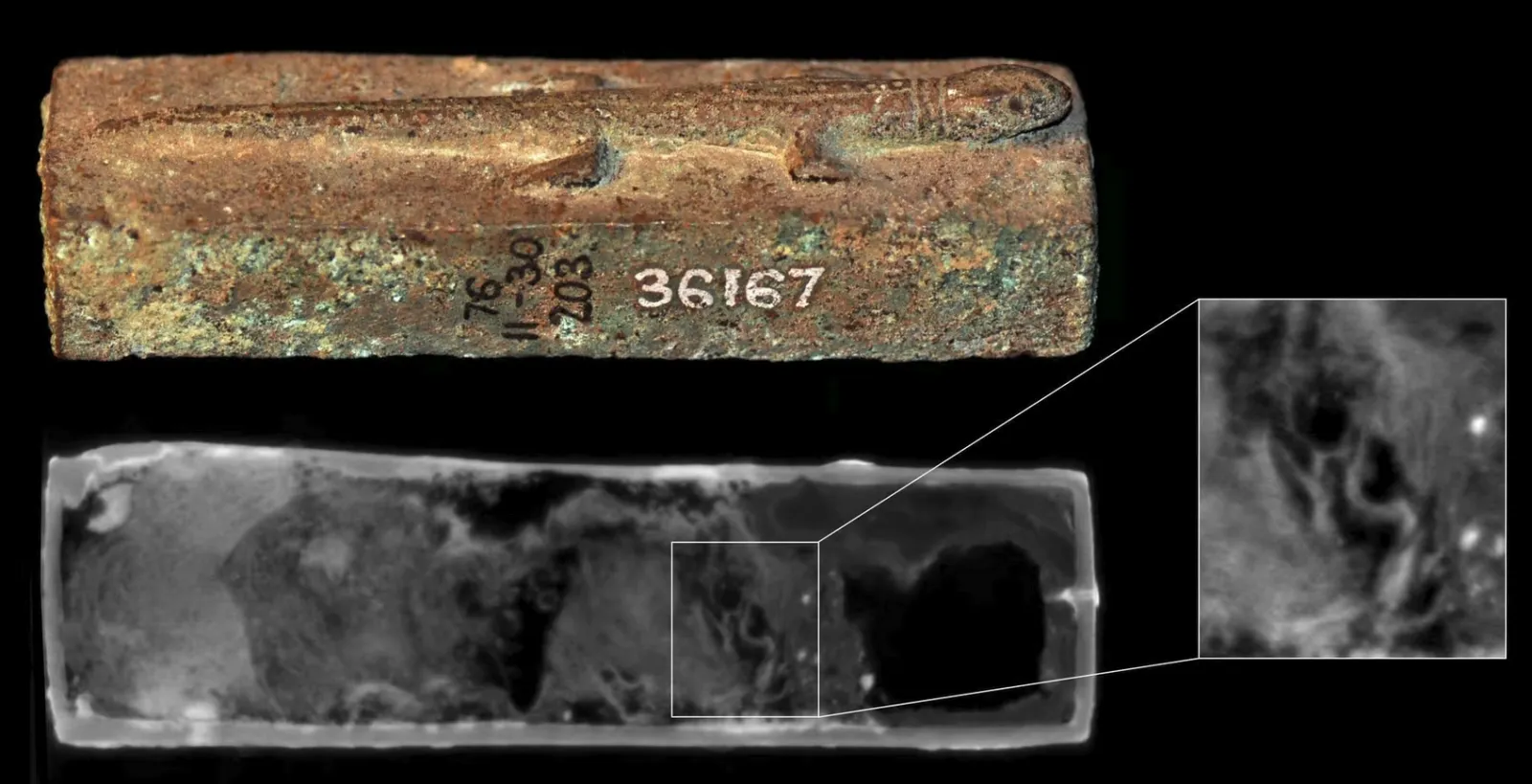 Гроб для животных EA27584, увенчанный двумя фигурами ящериц.