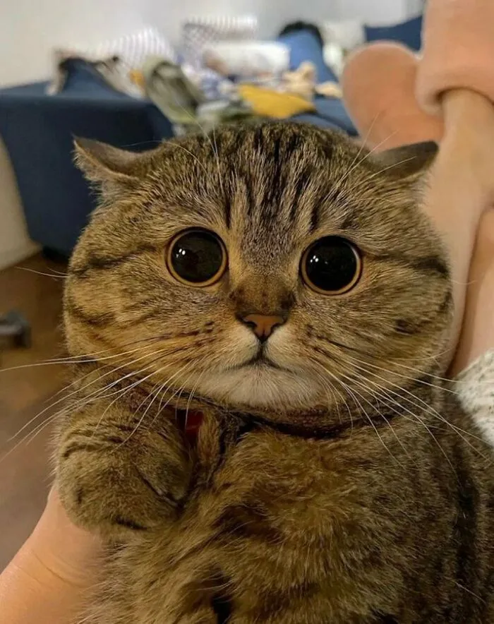 В глазах целая вселенная.