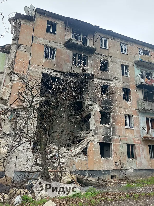 Абрикосы цветут