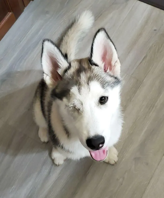 «Подмигивает».