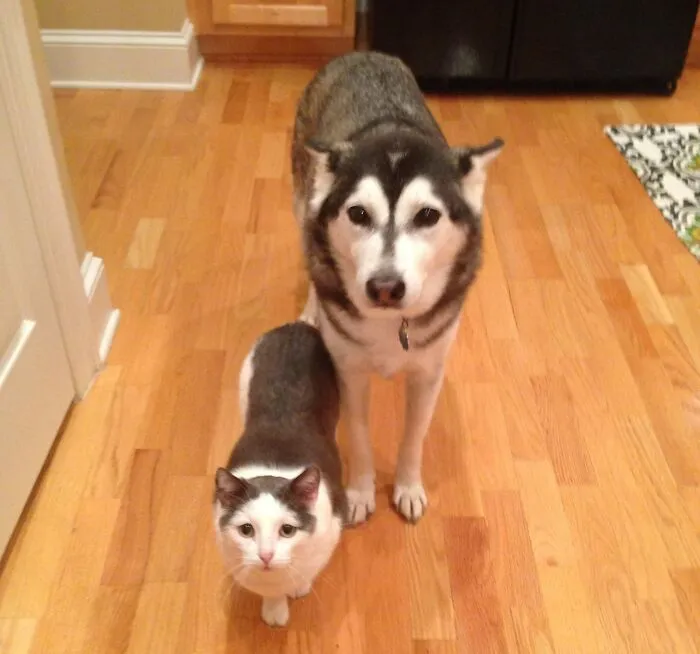 «Брат от другой матери».