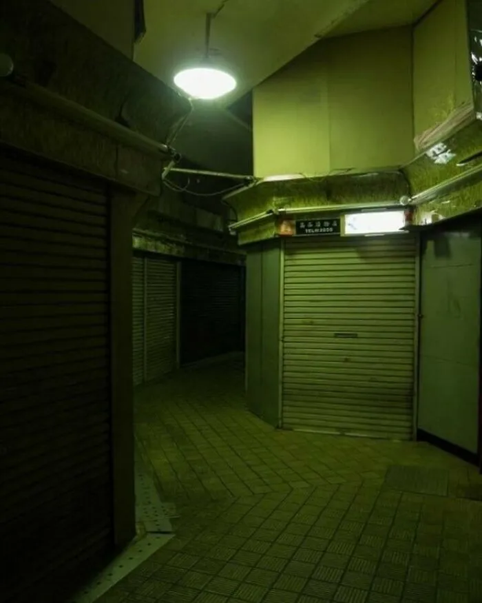 Это хоррор-квест?