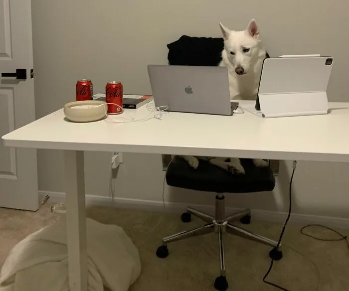 «Вышел из ванной, и я вижу это».