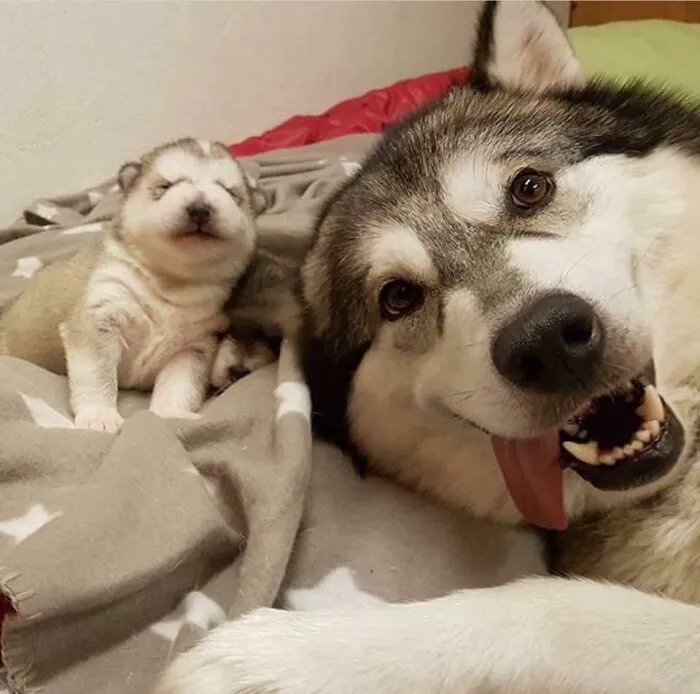 «Когда ты впервые стал отцом».