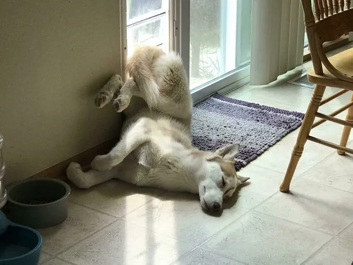 «Просто нормальное, удобное положение для сна».