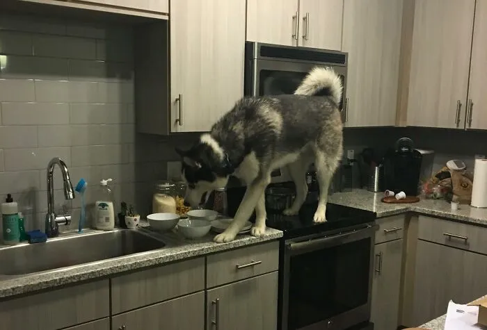 «На кухне было слишком тихо».