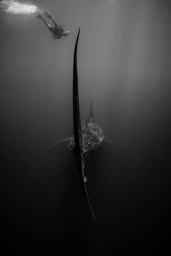 Встреча с «маленькой» рыбкой.