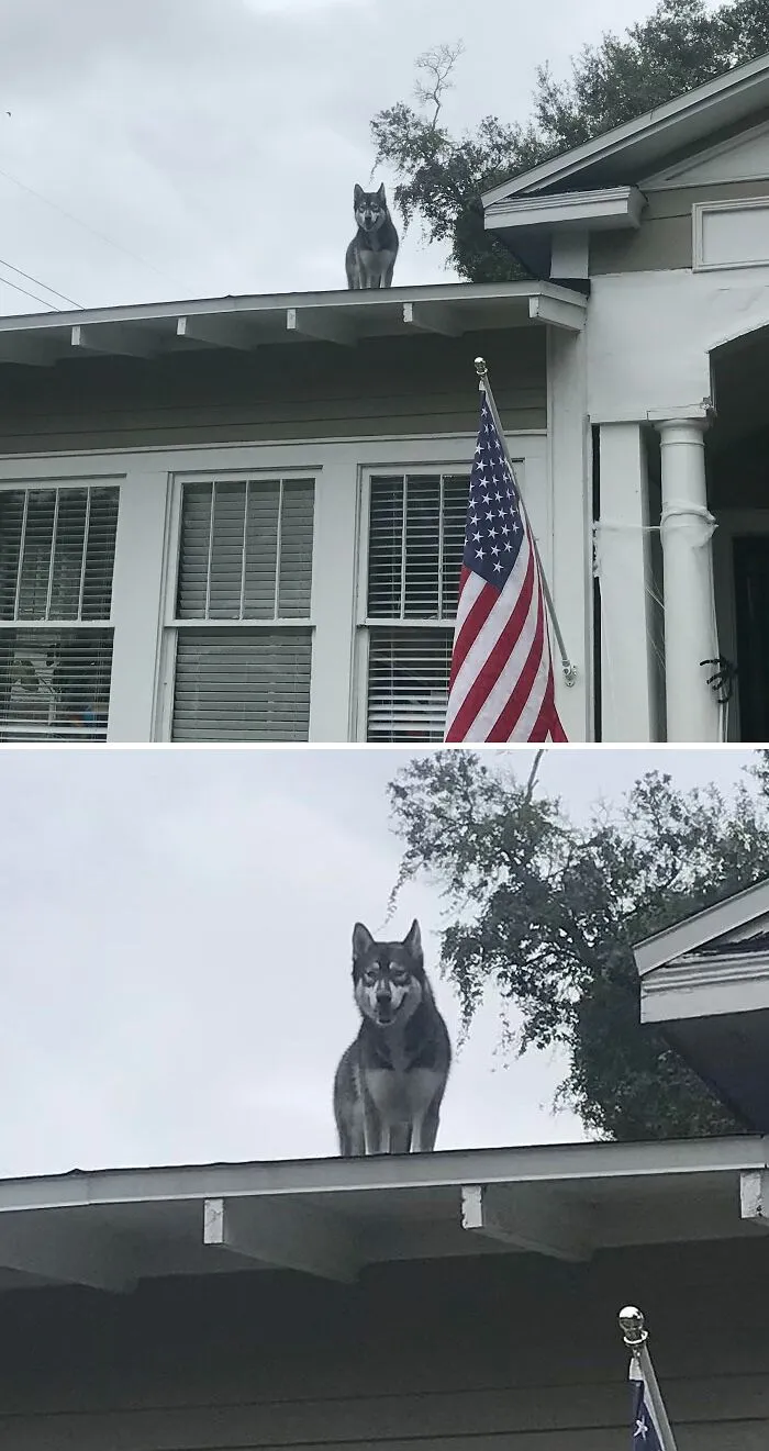 «Адора иногда бывает немного безрассудной».