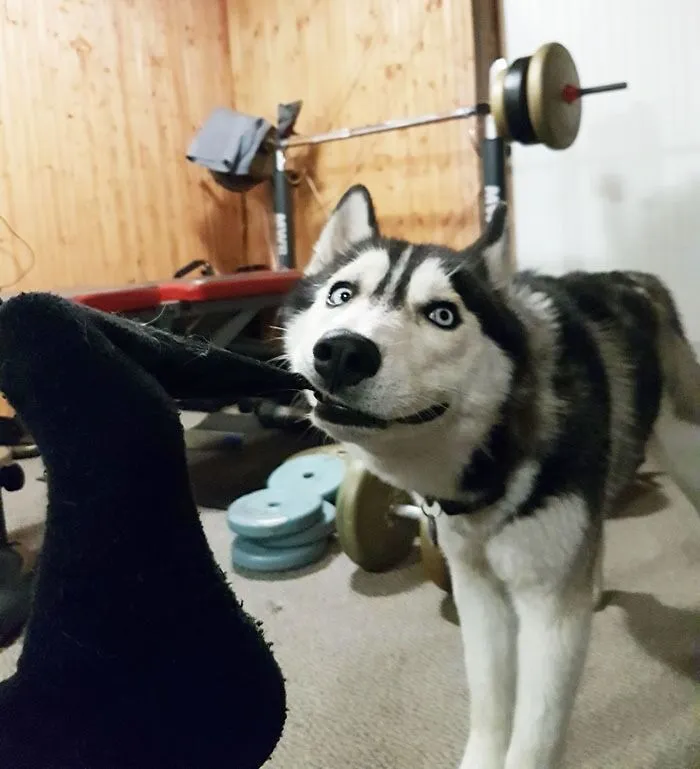 «Она любит носки».