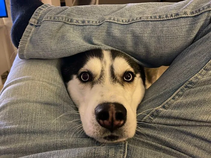 «О, привет!»