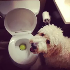 Он просто хотел, чтобы мяч стал чистым.