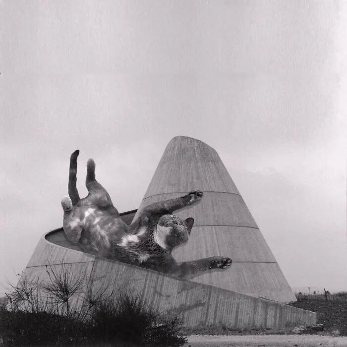 Культурный центр Moshav Yonatan, Израиль.