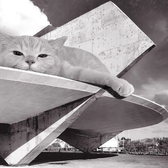 Стадион Clube Atlético Paulistano Gymnasium, Бразилия.