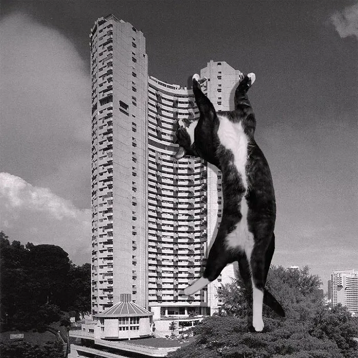 Апартаменты Pearl Bank, Сингапур.