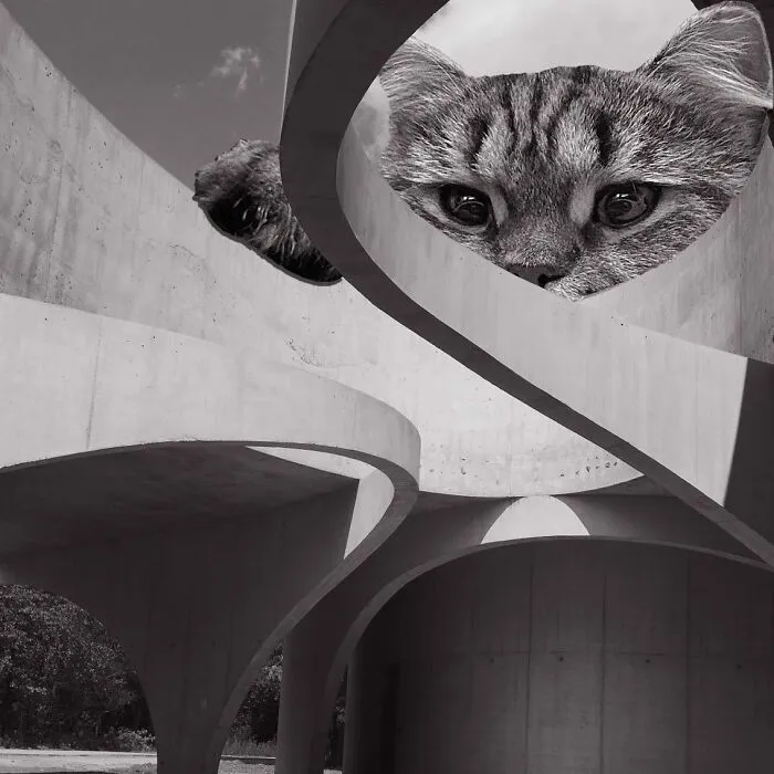 Labovo Pavilion в Бельгии.