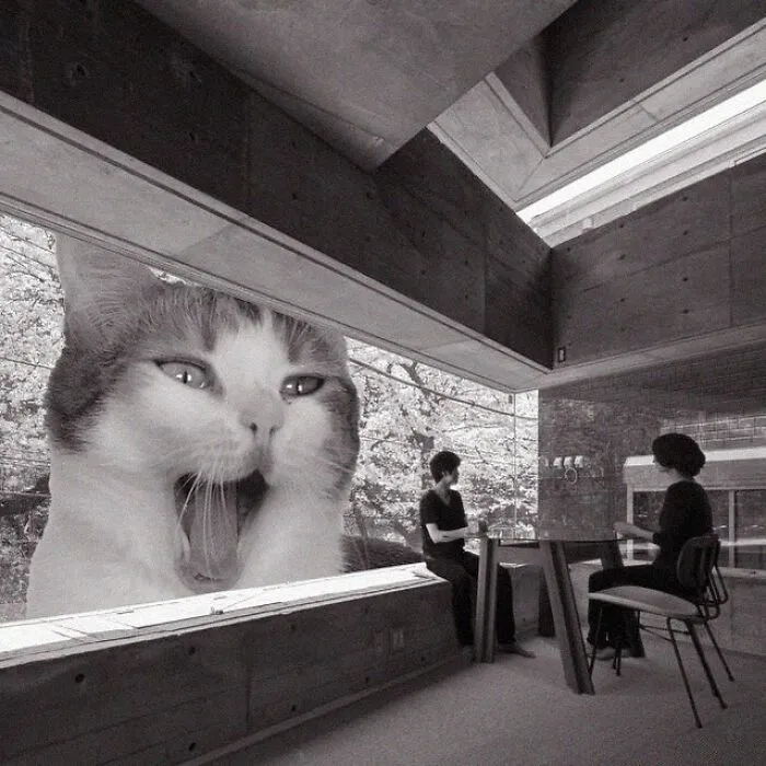 Дом Oriel Window House, Япония.