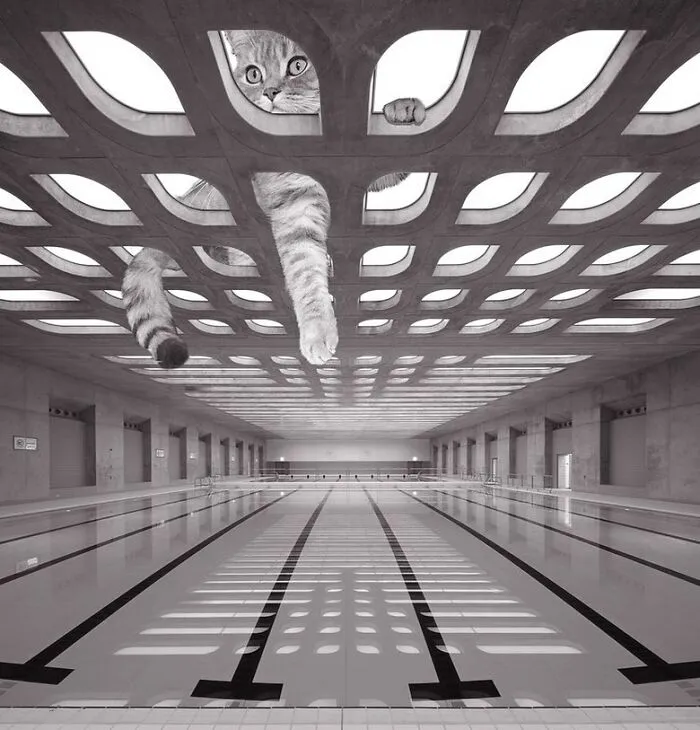 Лондонский центр водных видов спорта.