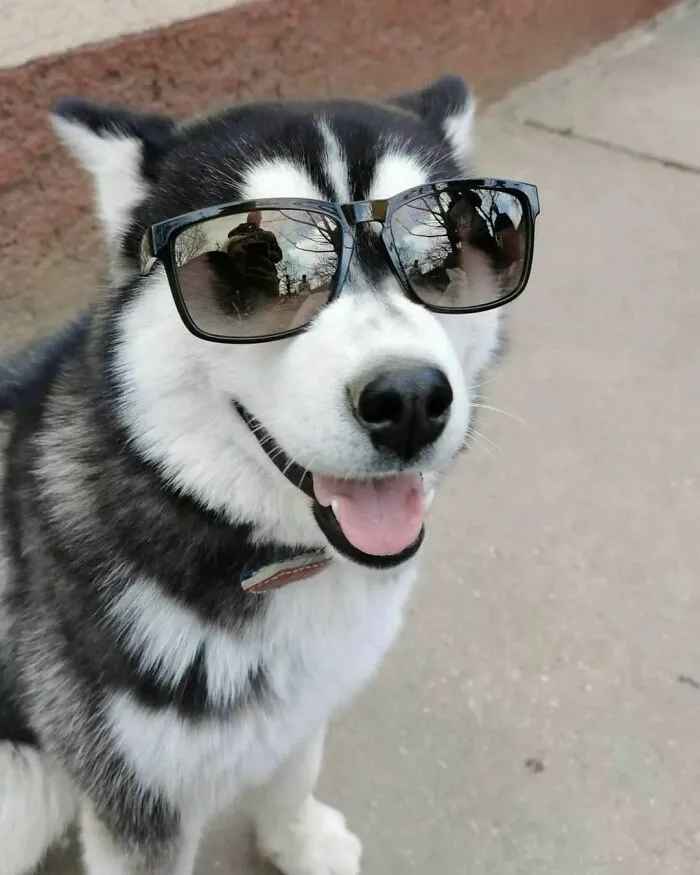 «Как дела?»