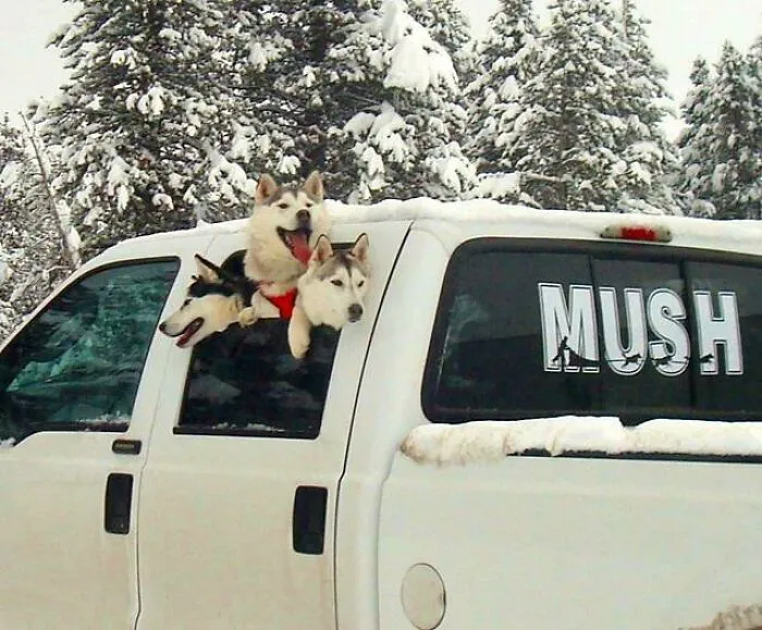 «Мы готовы к путешествию!»