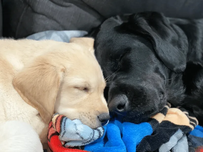 «Моменты, ради которых я живу».