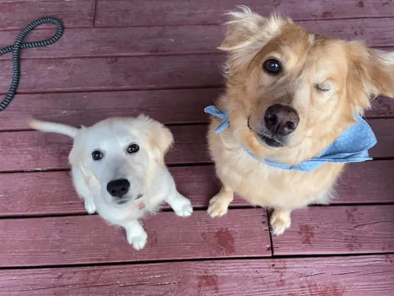 «У моего хорошего мальчика есть хороший мальчик!»