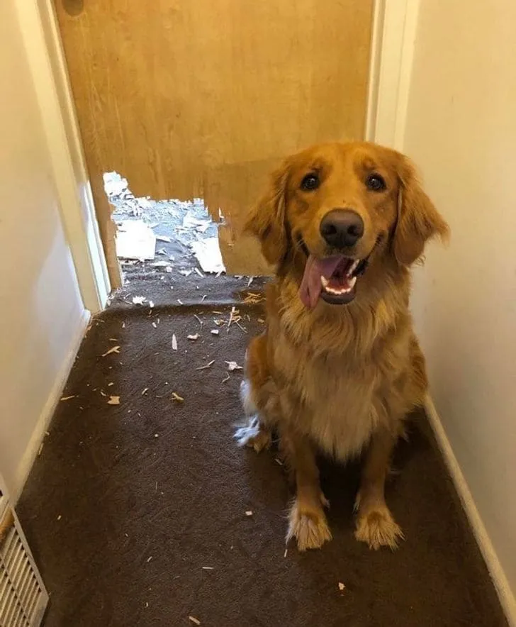 «Мамуль, я открыла тебе дверь».