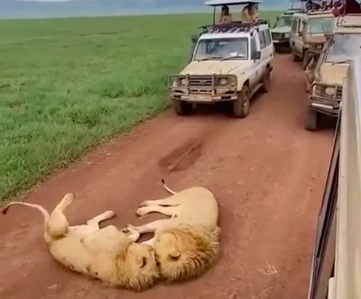 «И пусть весь мир подождет».