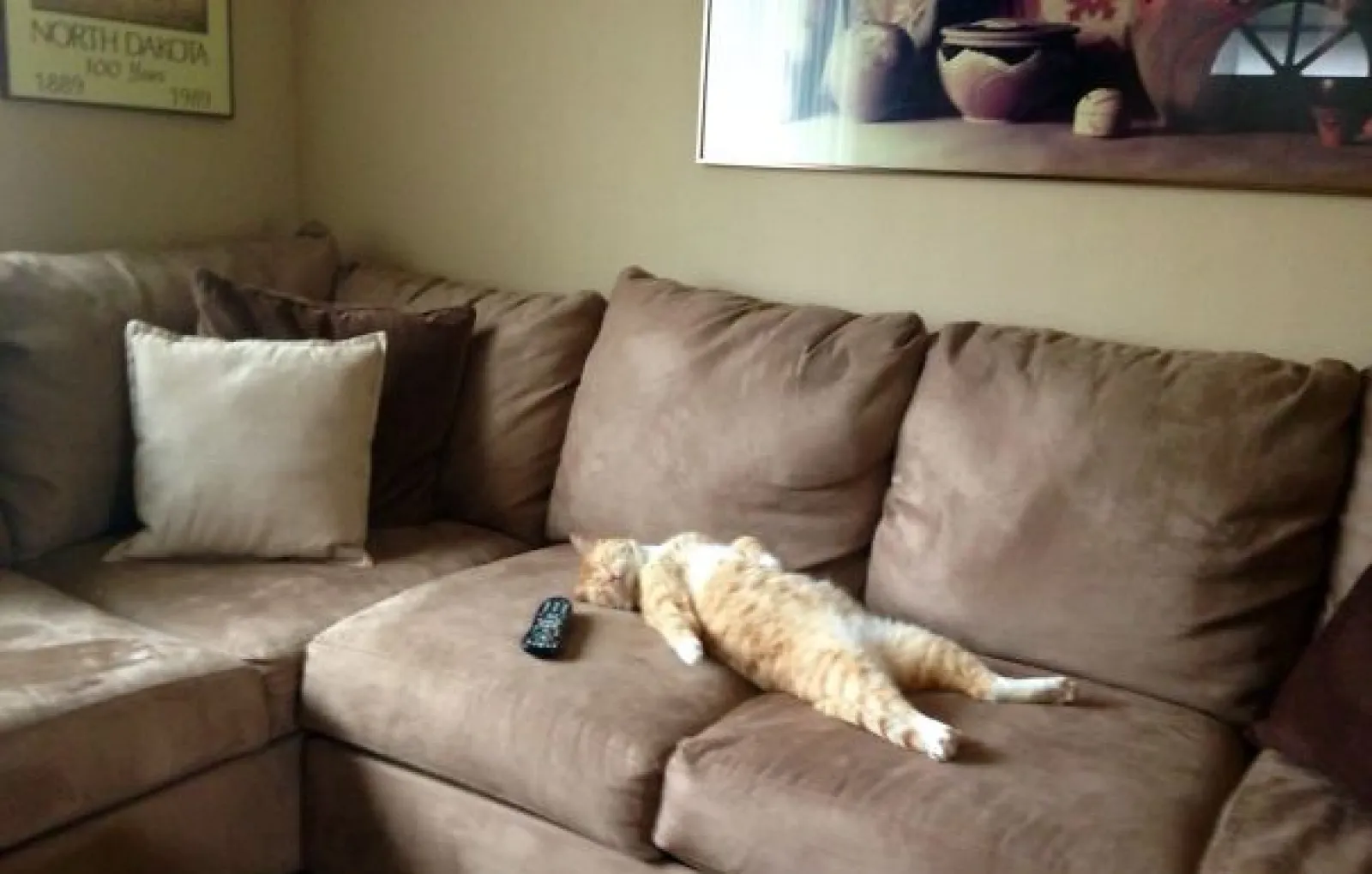 Лежит кайфует. Кот кайфует. Котик развалился на диване. Кот лежит кайфует. Кот кайфует на диване.