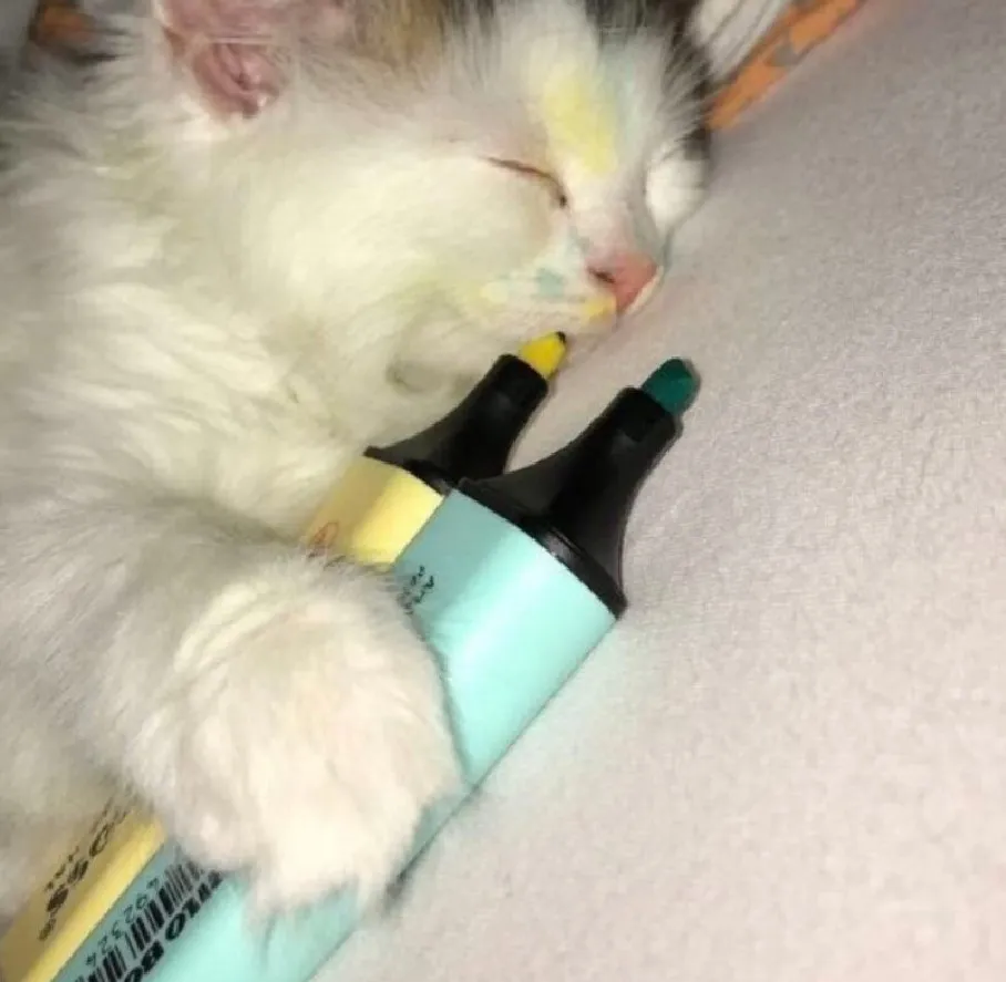 Вдоволь нарисовался и спит. 