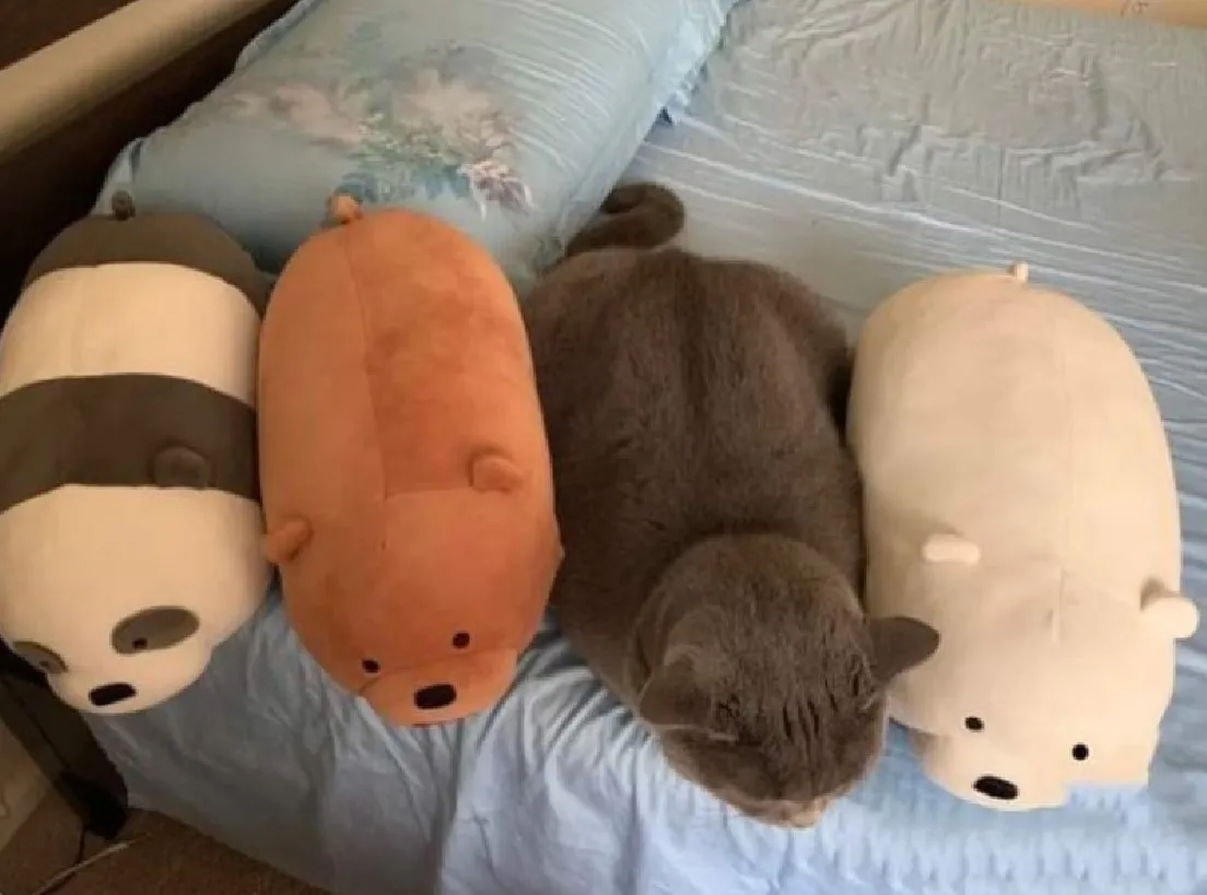 Замаскировался.