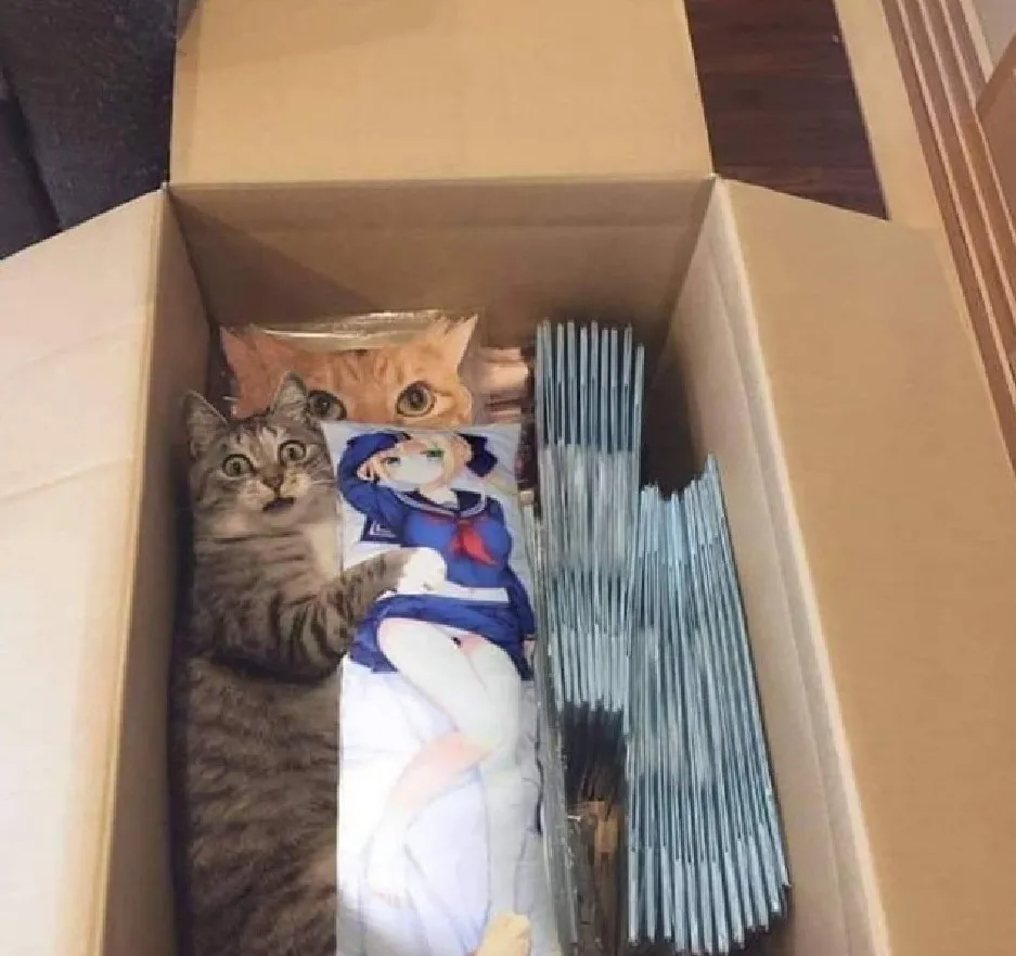 «Я все могу объяснить».