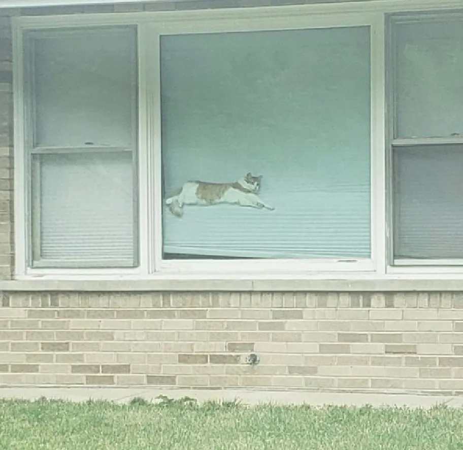 Удобненько.