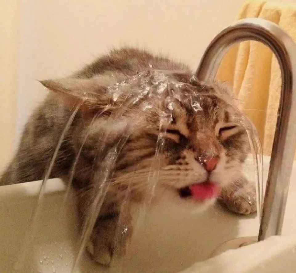 «И почему я никак не могу напиться?»