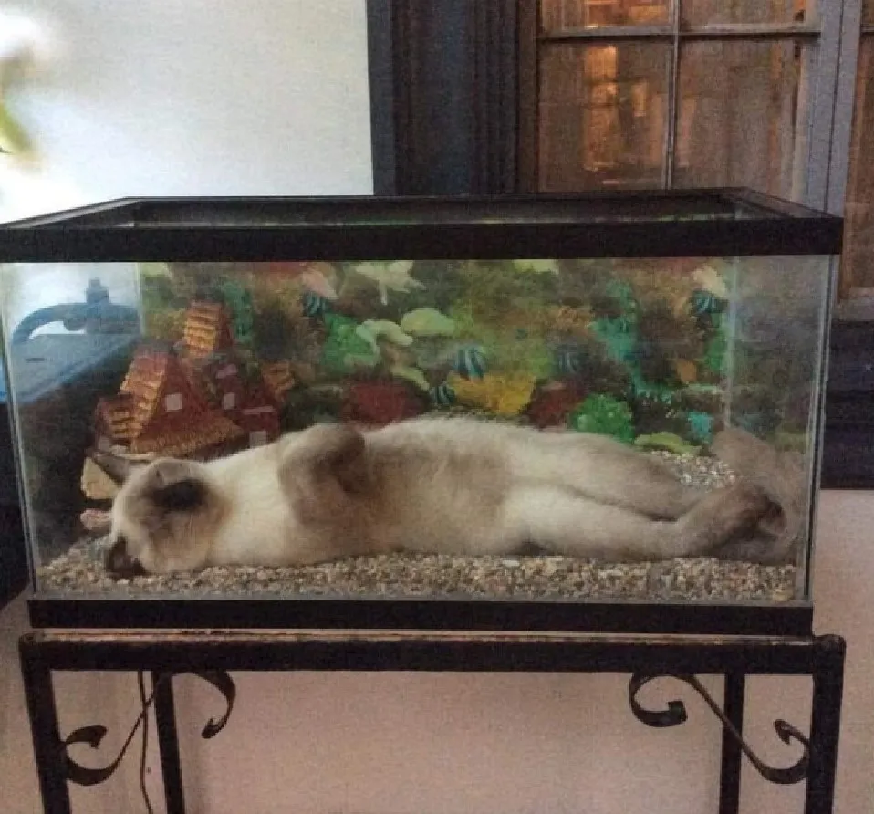 Просто идеальное место для сна.