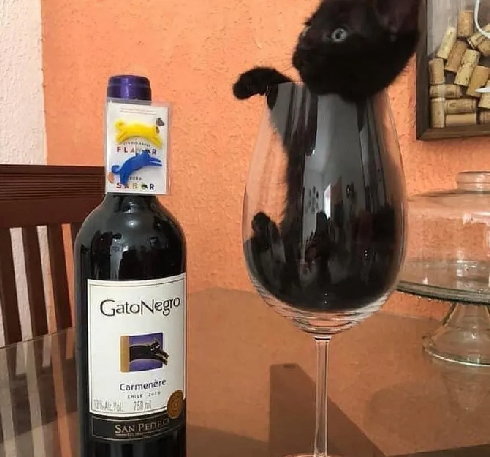 Пушистое вино.