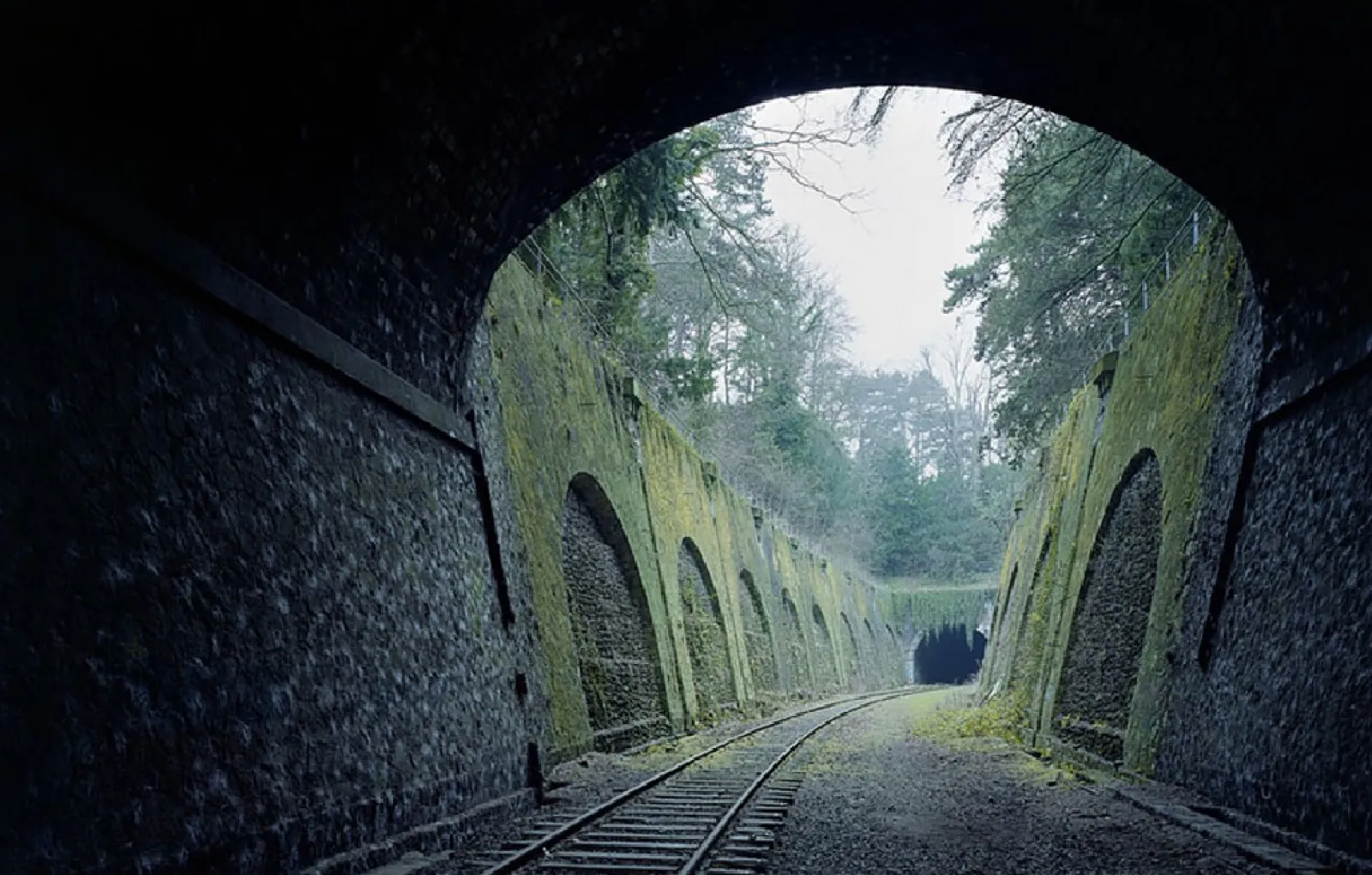 Позабытые места. Заброшенная железная дорога petite ceinture, Франция. Заброшенная железная дорога в Париже. Яблоневый овраг заброшенная железная дорога. Железнодорожная линия la petite ceinture.