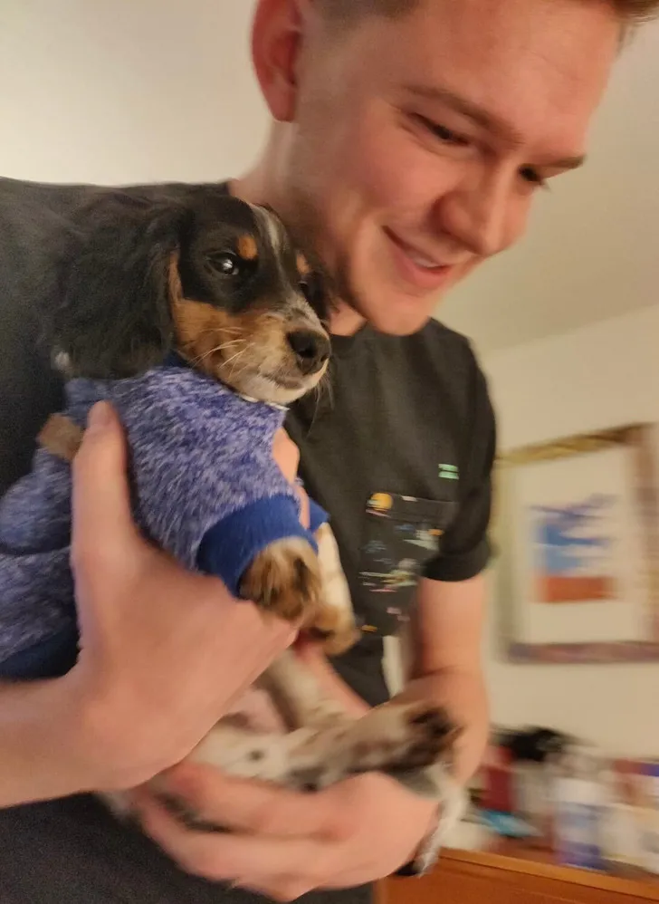 «Мой муж сказал, что ненавидит маленьких собак».