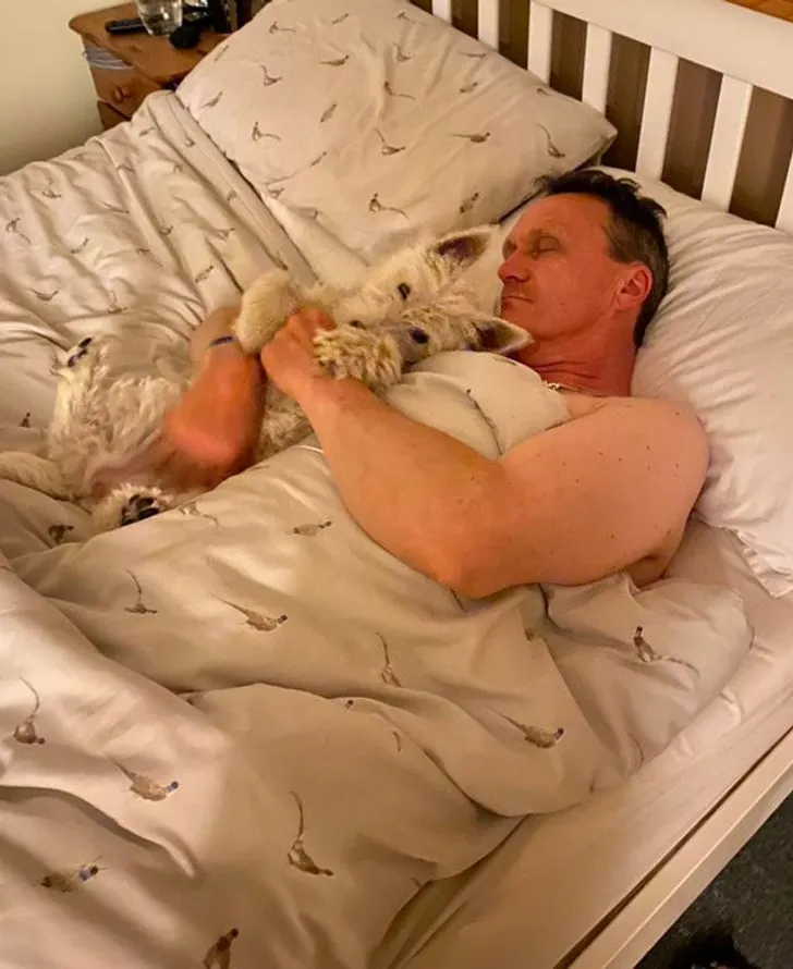 «Больше никаких собак! У нас нет ни места, ни времени ухаживать за ним!»