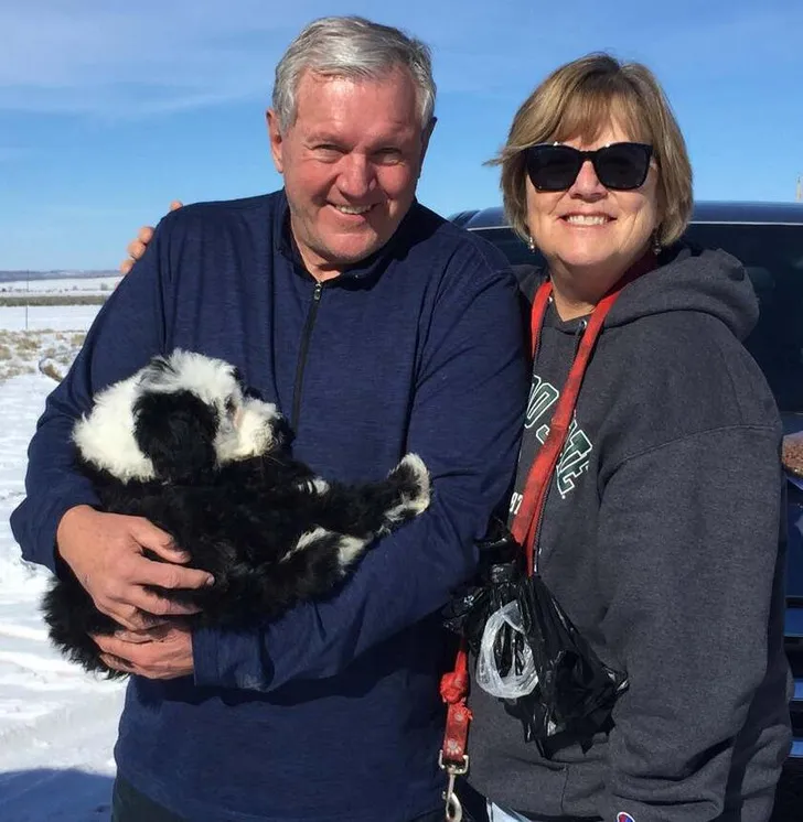 «Мой папа, держа щенка, сказал моей маме, что он «абсолютно» его не хочет».