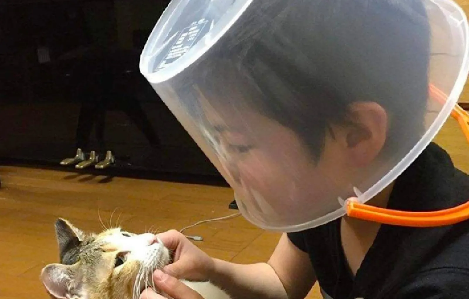 «Когда тебя много раз поцарапали, но ты все равно хочешь продолжать общение».