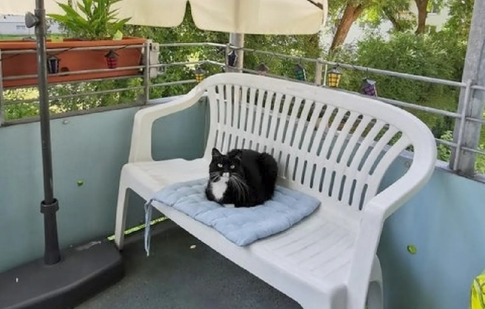 «Я открыл дверь на балкон, положил подушку на скамейку, вошел в дом, чтобы взять книгу, и вот что я увидел, когда вышел на улицу».