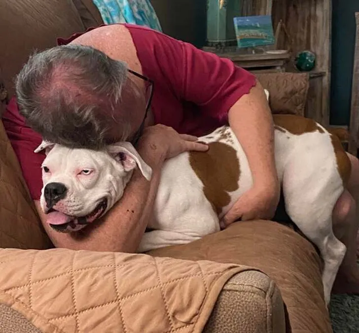 «Мой папа с собакой, которую он не хотел».