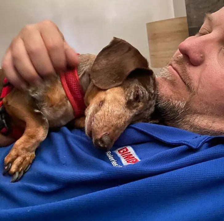 «Я не очень люблю маленьких собак».