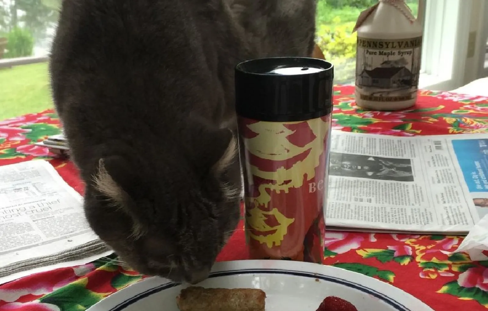 «У меня в тарелке то же самое, что и у нее».