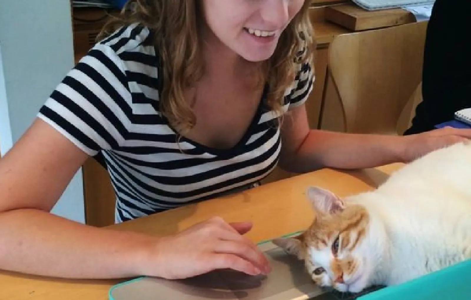 «Ну и как мне теперь работать?»